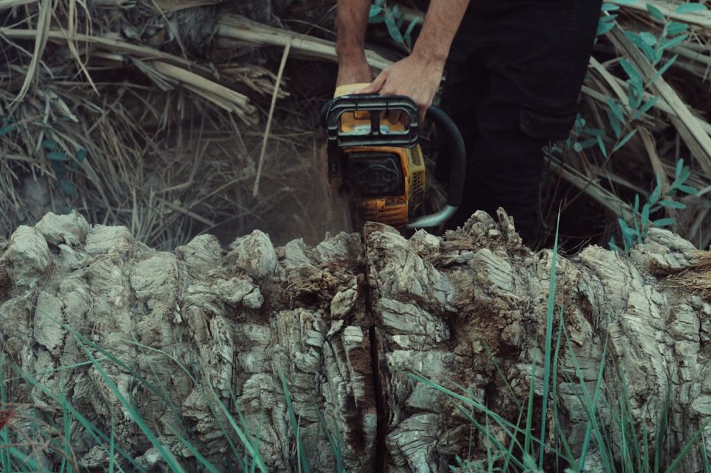 Close up of a Man Cutting a Palm Tree Trunk