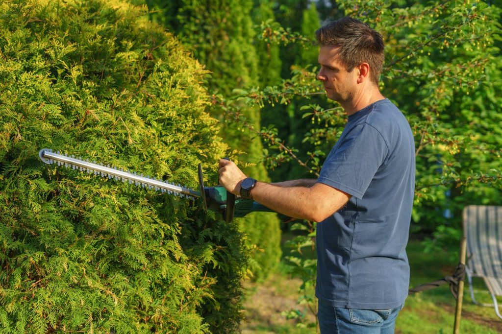 Man Cutting Hedge with a Trimmer in the Garden